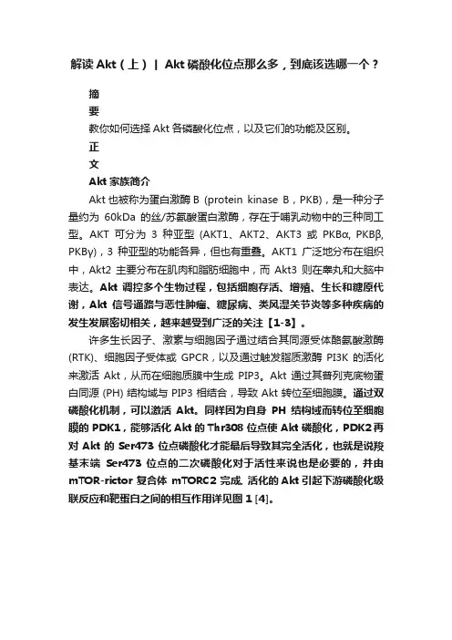 解读Akt（上）丨Akt磷酸化位点那么多，到底该选哪一个？