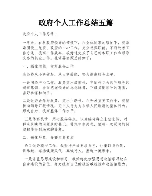 政府个人工作总结五篇