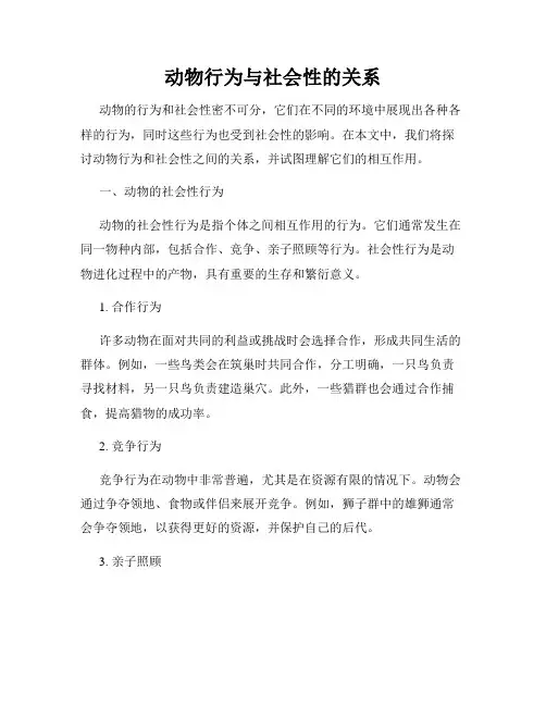 动物行为与社会性的关系