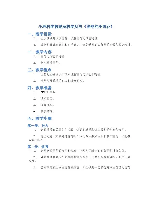 小班科学教案及教学反思《美丽的小雪花》