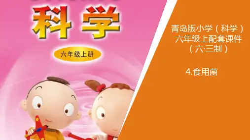 4新青岛版小学科学六年制六年级上册.《食用菌》教学课件