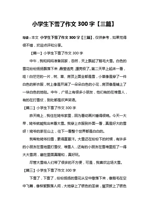 小学生下雪了作文300字【三篇】