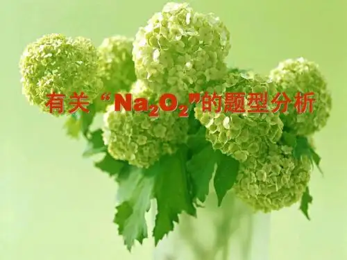 关于过氧化钠的计算