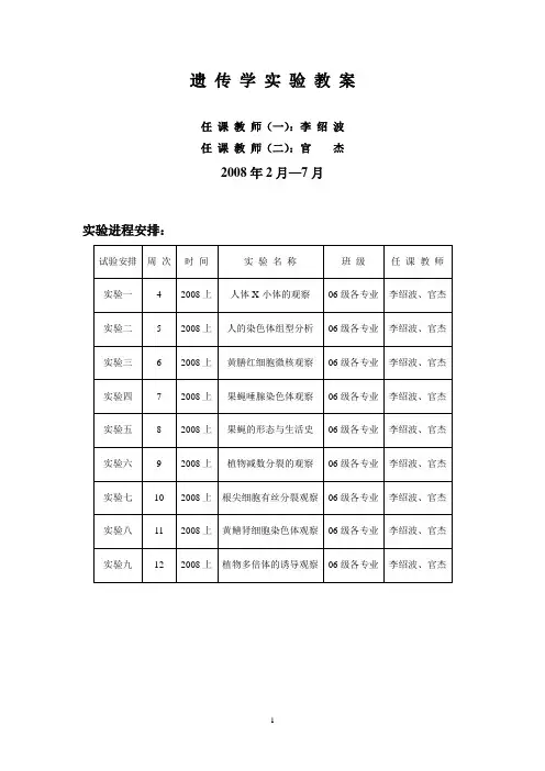 遗传学实验教案