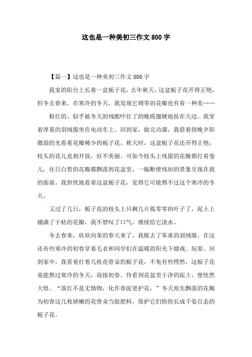这也是一种美初三作文800字