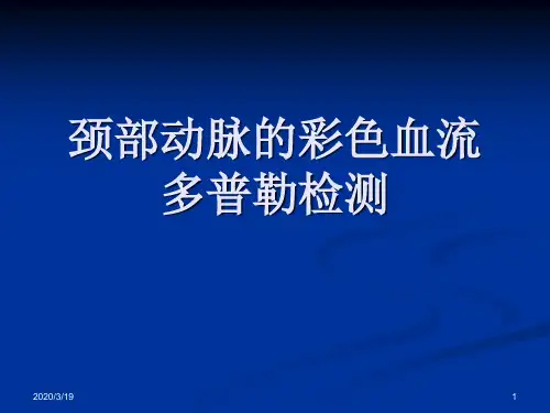 颈部动脉彩超PPT课件