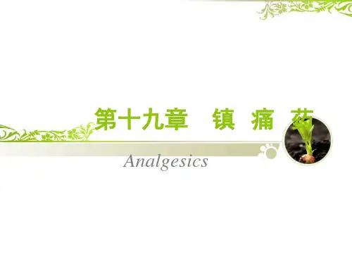 《药理学》镇痛药  ppt课件