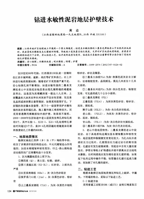 钻进水敏性泥岩地层护壁技术