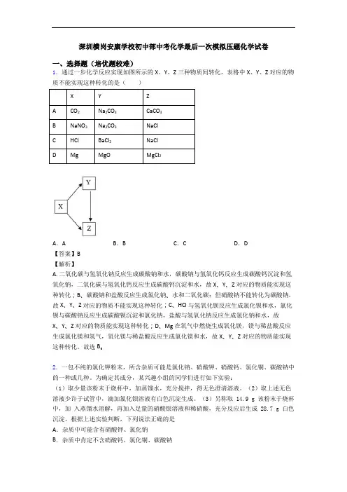 深圳横岗安康学校初中部中考化学最后一次模拟压题化学试卷