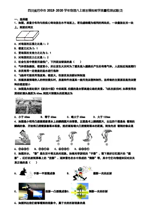 四川省巴中市2019-2020学年物理八上期末模拟教学质量检测试题(2)