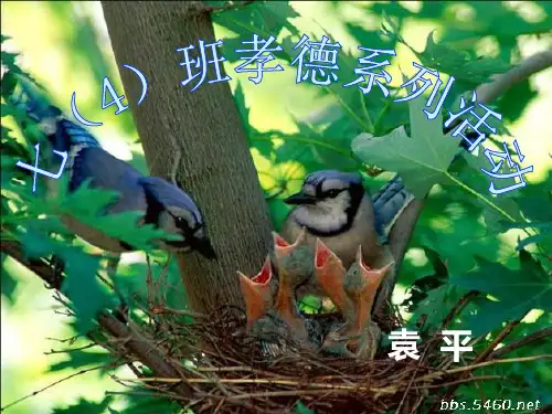 百善孝为先——感恩父母主题班会PPT课件