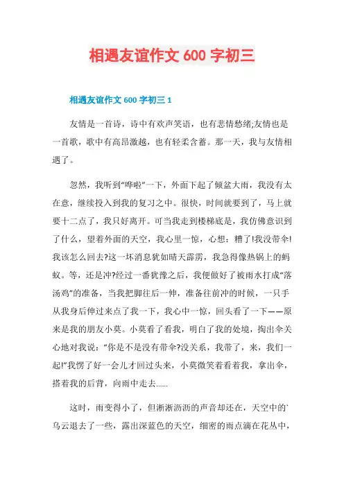 相遇友谊作文600字初三