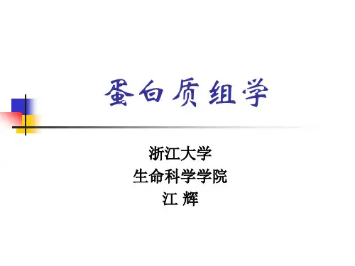 7蛋白组学 功能