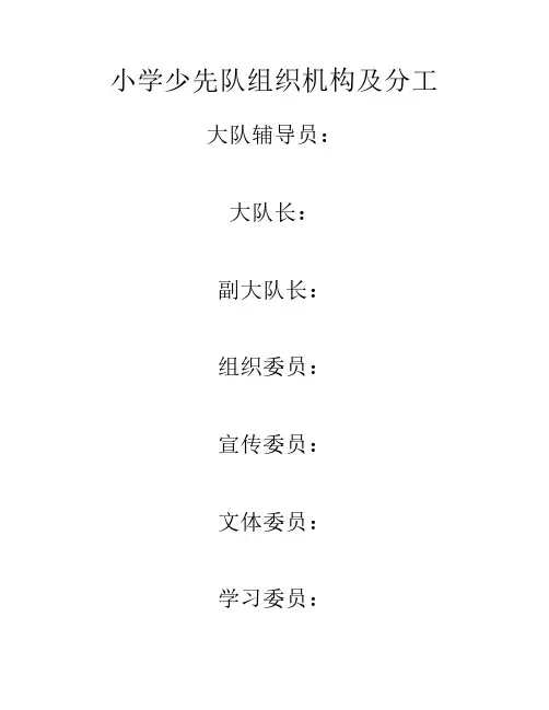小学少先队组织机构及分工