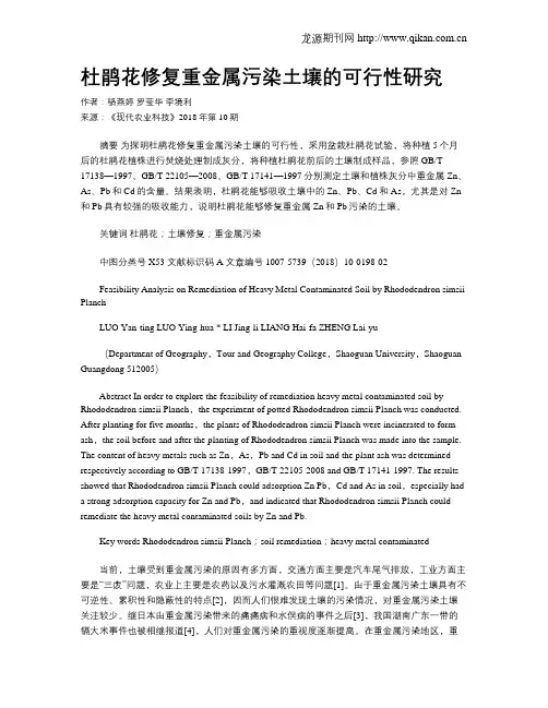 杜鹃花修复重金属污染土壤的可行性研究
