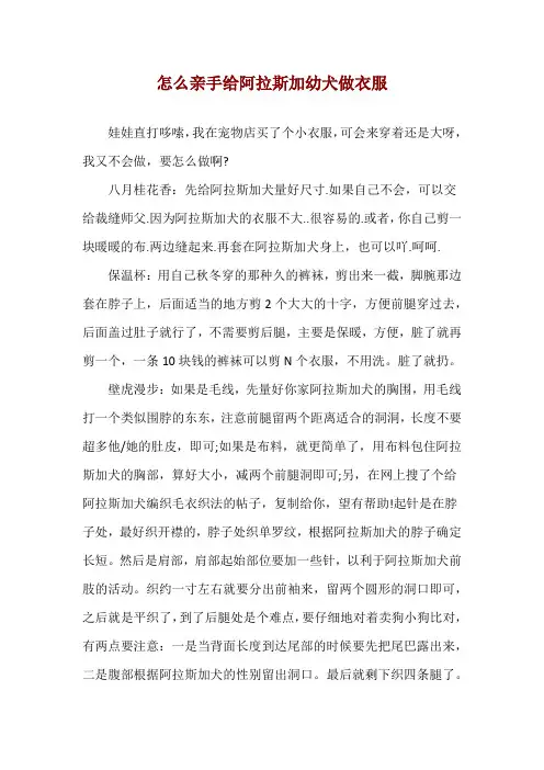 怎么亲手给阿拉斯加幼犬做衣服
