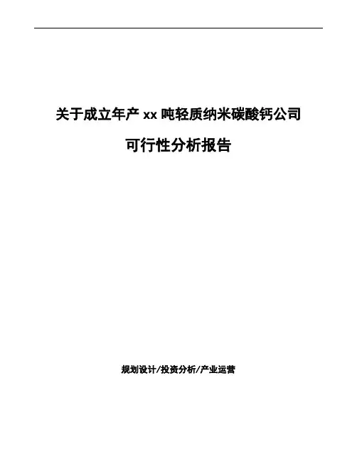关于成立年产xx吨轻质纳米碳酸钙公司可行性分析报告 (1)