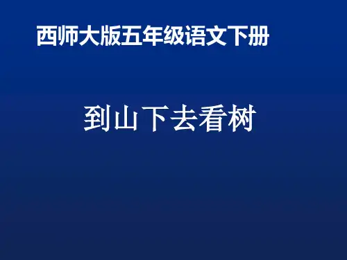 五年级下册语文课件-6.24 到山下去看树 ｜西师大版 (共20张PPT)