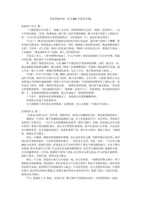 青春的细节高一作文800字(优秀5篇)