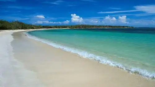 25 赶海