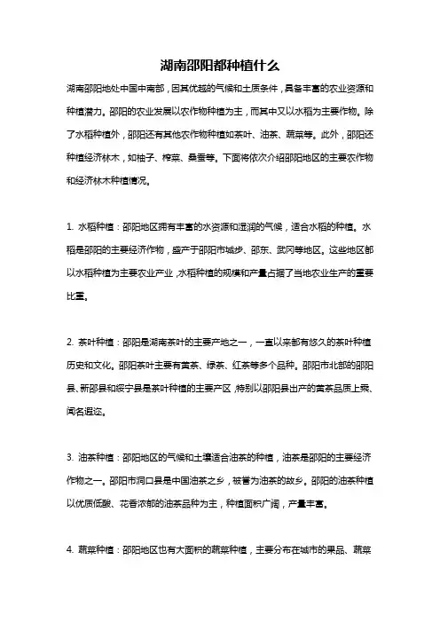 湖南邵阳都种植什么