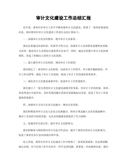 审计文化建设工作总结汇报