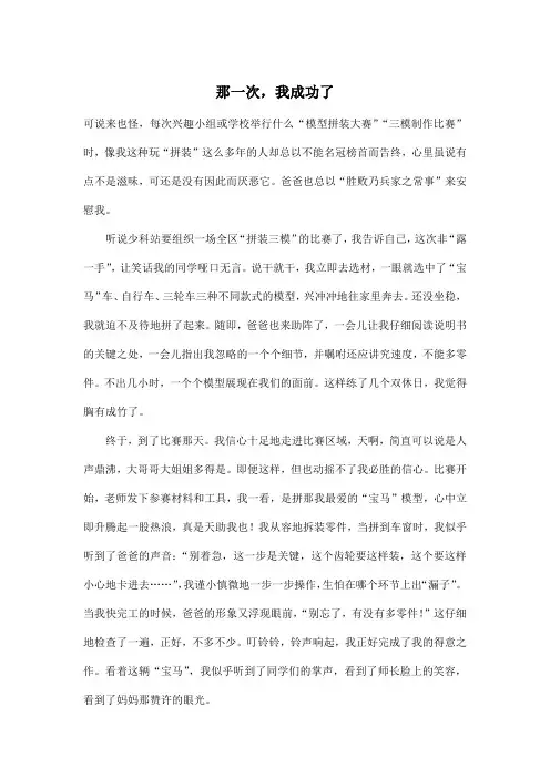 那一次,我成功了_初中初三作文800字