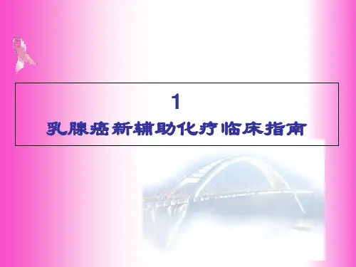 2018年乳腺癌临床诊治指南-2019年精选医学文档