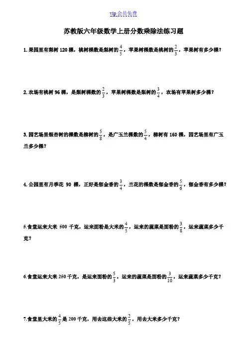 苏教版六年级数学上册分数乘除法练习题
