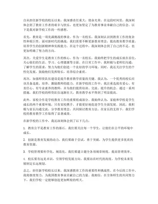 校长新学校工作感想