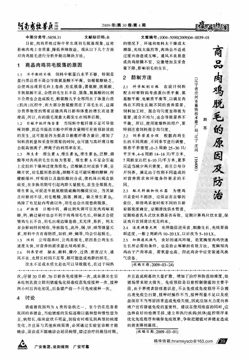 商品肉鸡脱毛的原因及防治