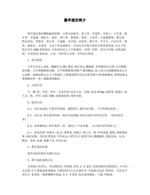 墨旱莲的简介