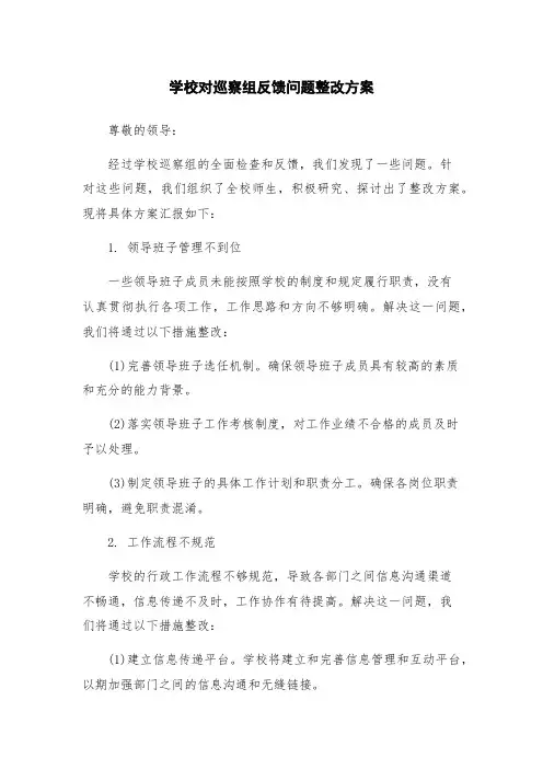 学校对巡察组反馈问题整改方案