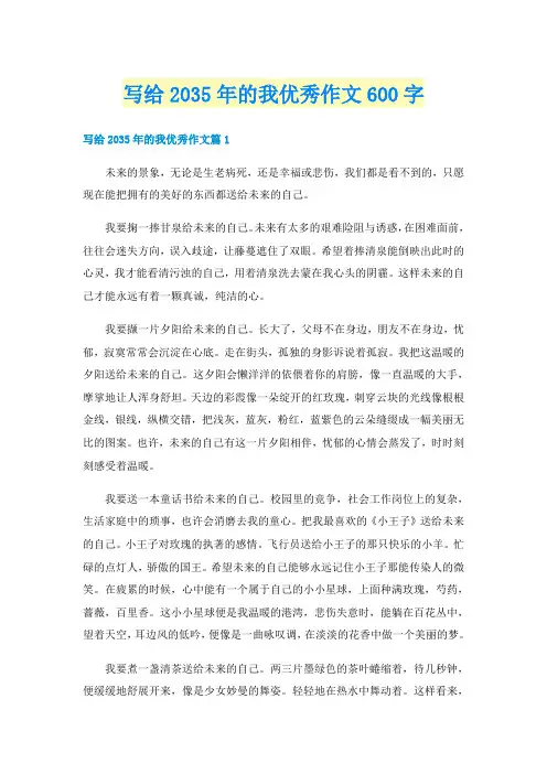 写给2035年的我优秀作文600字