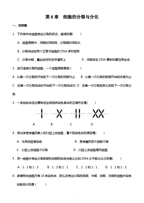 生物必修一第六章练习题及答案