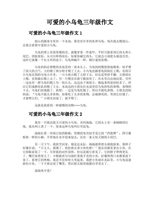 可爱的小乌龟三年级作文