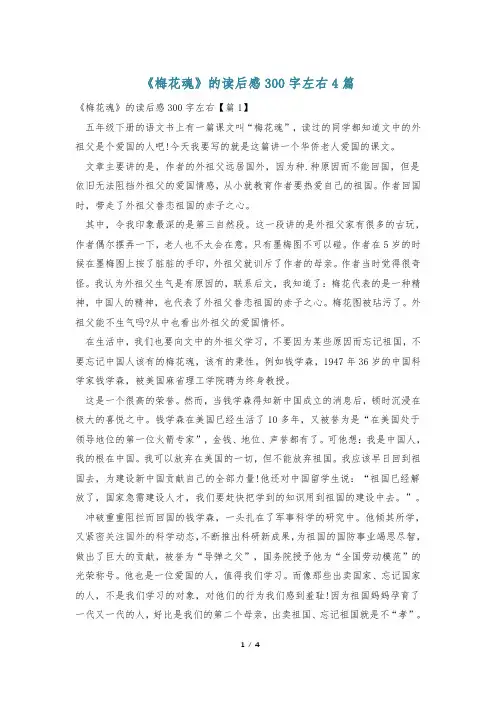 《梅花魂》的读后感300字左右4篇