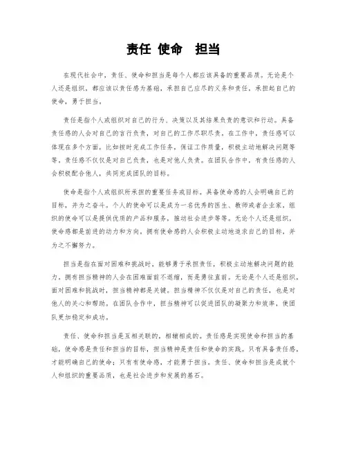 责任 使命  担当