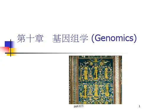 《基因组学》PPT课件