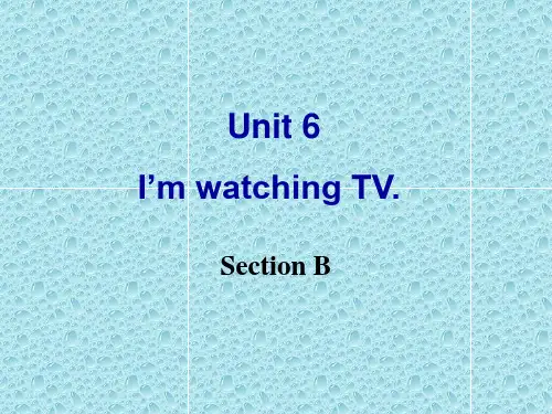 (2012年新版)人教新目标七年级英语下册_Unit6_I’m_watching_TV_Section_B_优秀课件