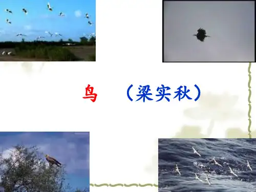 《鸟》梁实秋 ppt课件