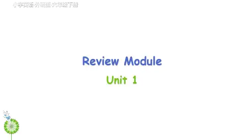 外研版(三起)六年级英语下册ReviewModuleUnit1课件