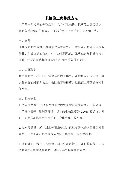米兰的正确养殖方法
