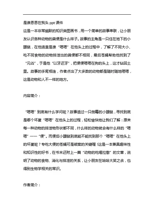 是谁恩恩在我头ppt课件
