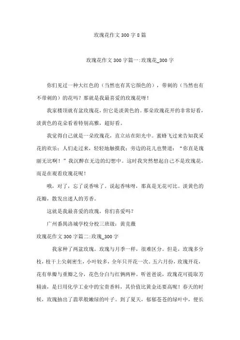 玫瑰花作文300字8篇