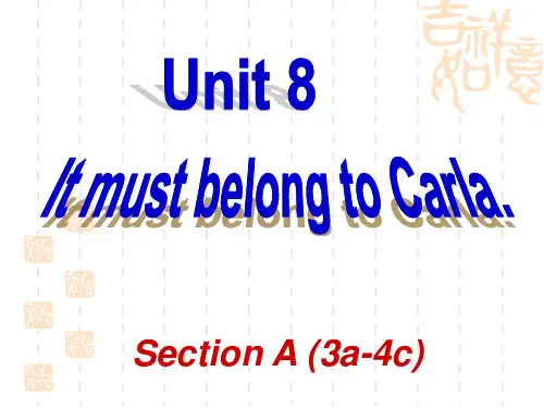 九年级(初三)英语课件  Unit8 Section A 3a-4c精美课件(47张PPT)