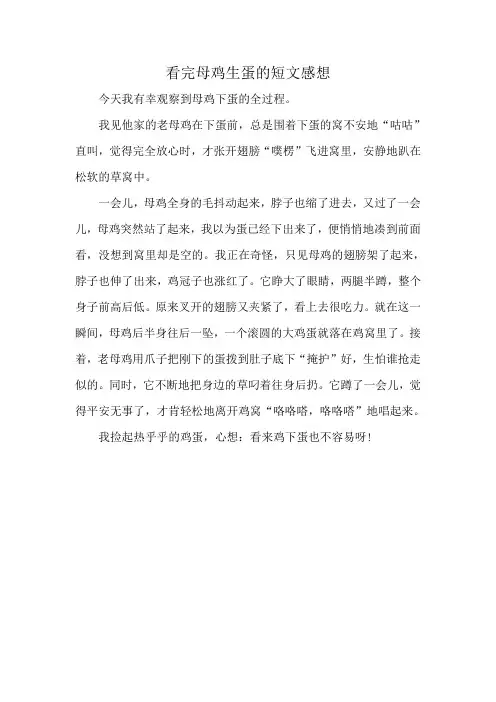 看完母鸡生蛋的短文感想