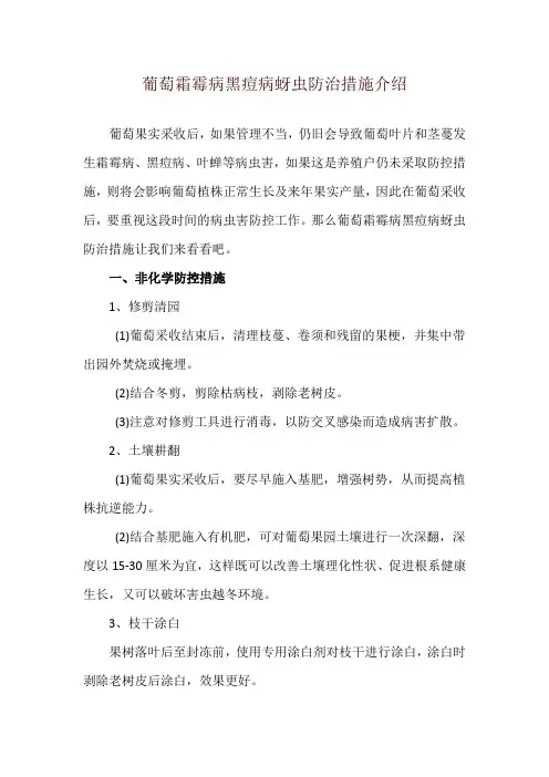 葡萄霜霉病黑痘病蚜虫防治措施介绍