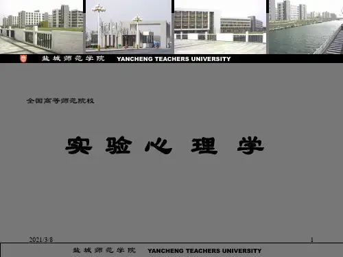 《实验心理学》PPT课件