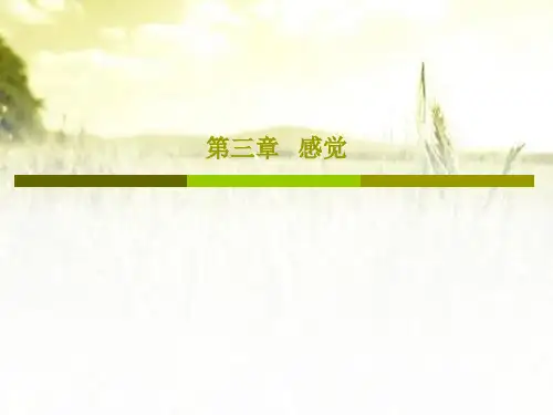 感觉 PPT课件